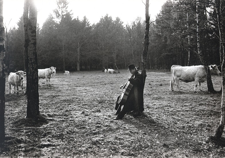 Cellist KCO