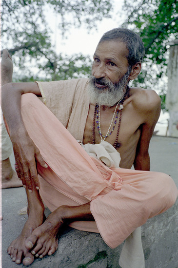 indiase gids