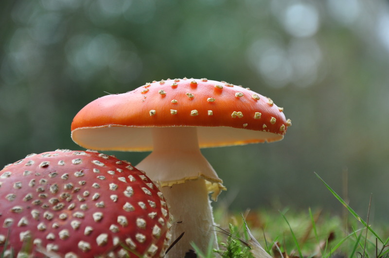 Gefotografeerd in Dorst