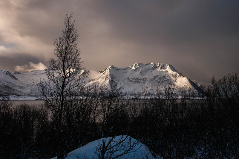 Omgeving Hamn i Senja-2