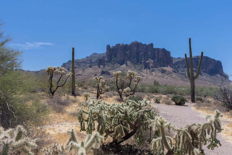 Sonoran Desert