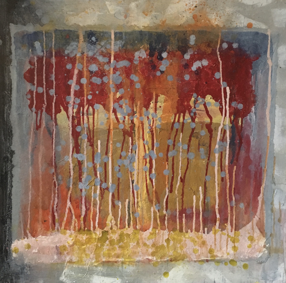 Boswandeling in de regen