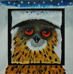 Werken met de uil in al zijn vormen als thema