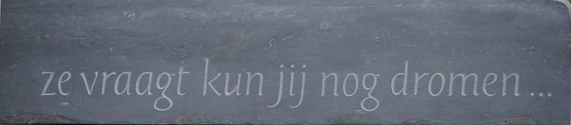 ze vraagt kun jij nog dromen ...