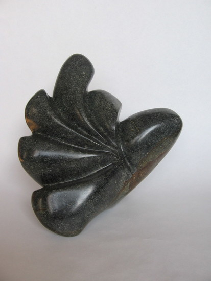 Gestileerd blad van zwarte Braziliaanse speksteen
