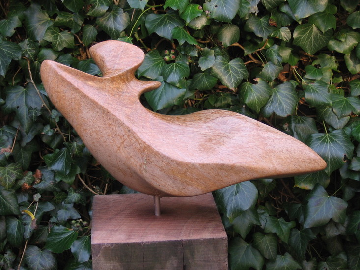 Vrije vorm van Braziliaanse speksteen