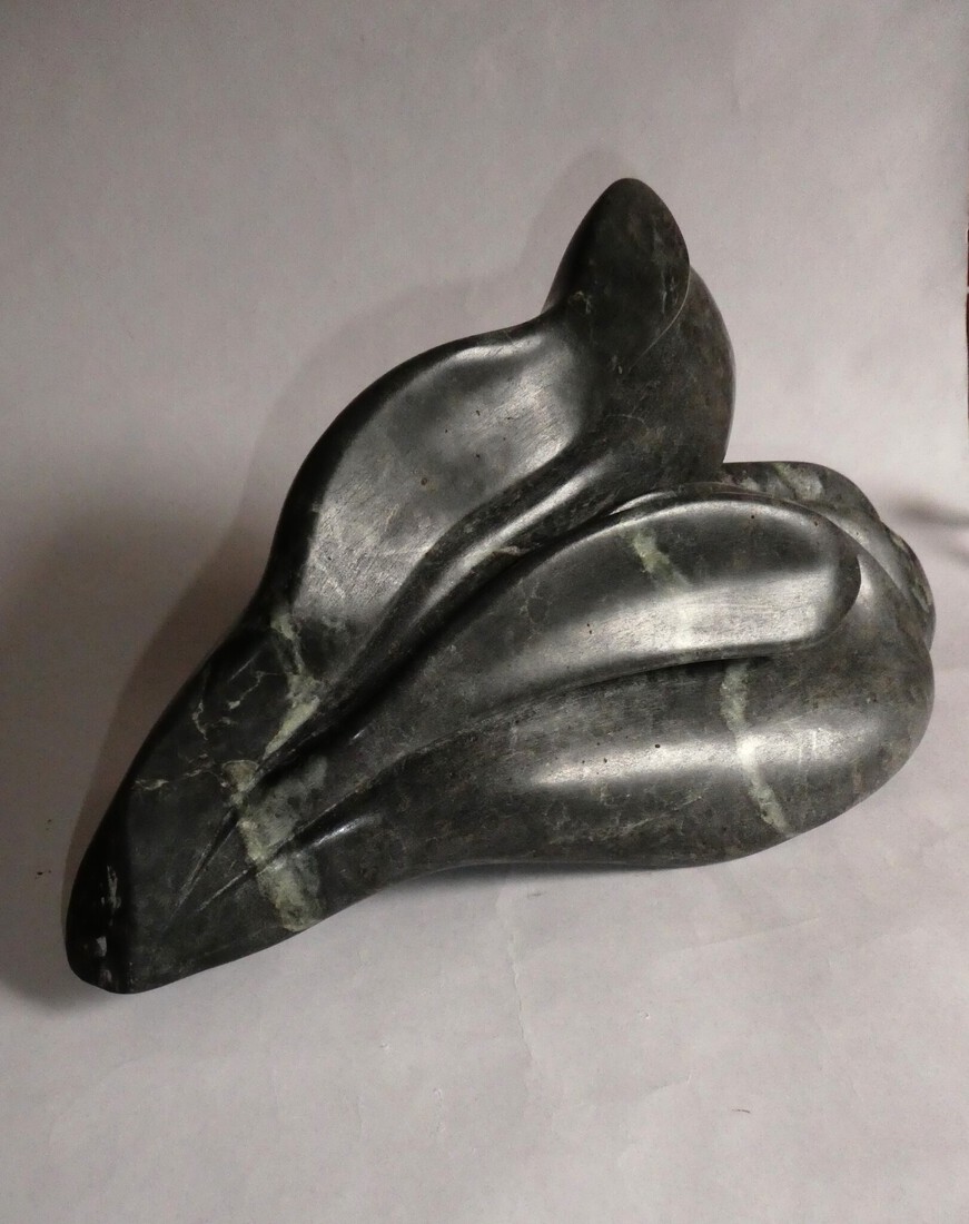 Vrije vorm van zwarte Braziliaanse speksteen