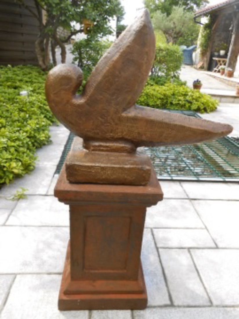 Dove of peace. Vredesduif.