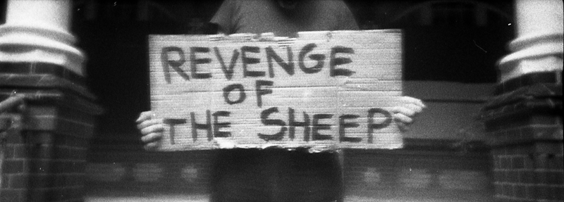 REVENGE OF THE SHEEP (commercial)