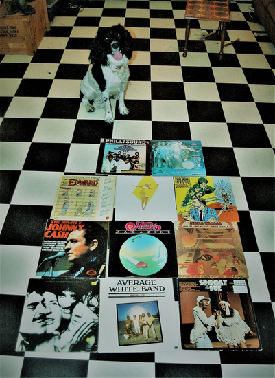 Cuddle the dog and his vinyl collection 10