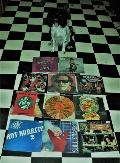 Cuddle the dog and his vinyl collection 16
