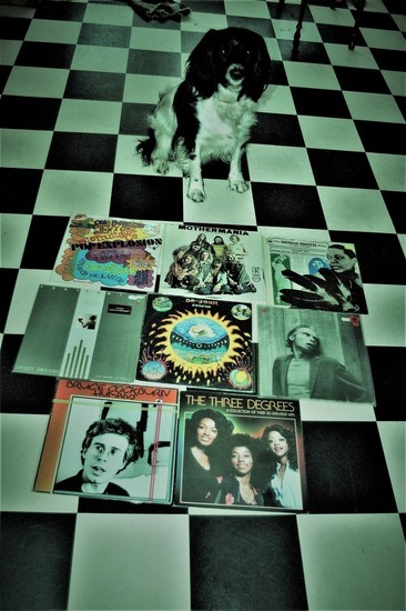 Cuddle the dog and his vinyl collection 20