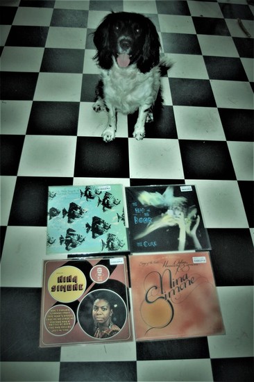 Cuddle the dog and his vinyl collection 21