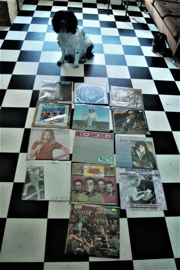 Cuddle the dog and his vinyl collection 24