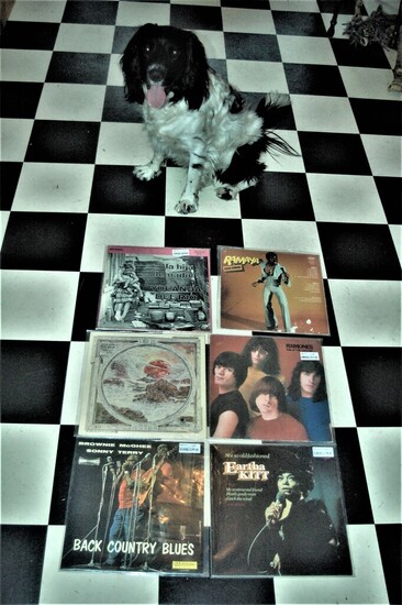 Cuddle the dog and his vinyl collection 26