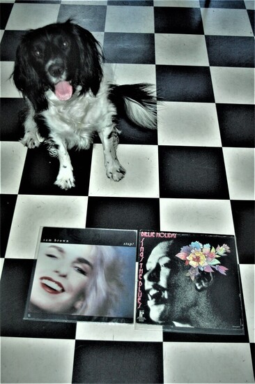 Cuddle the dog and his vinyl collection 27