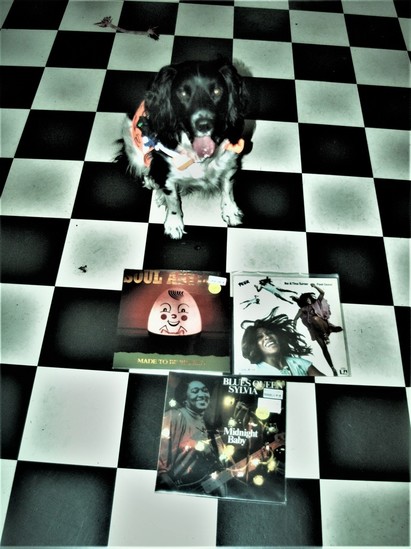Cuddle the dog and his vinyl collection 30