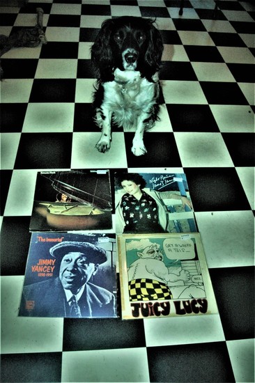 Cuddle the dog and his vinyl collection 31