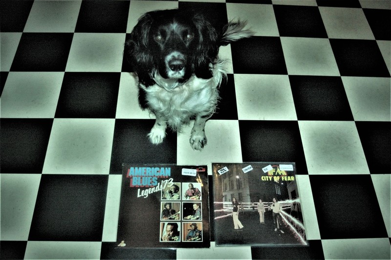 Cuddle the dog and his vinyl collection 32
