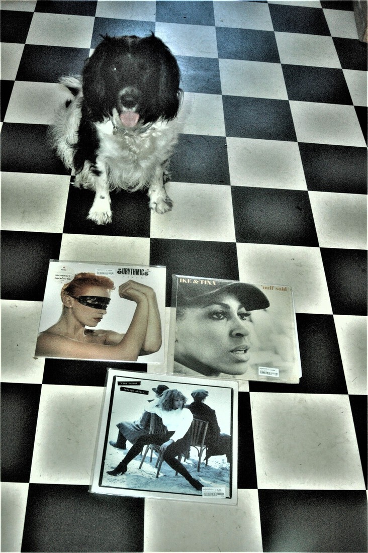 Cuddle the dog and his vinyl collection 36