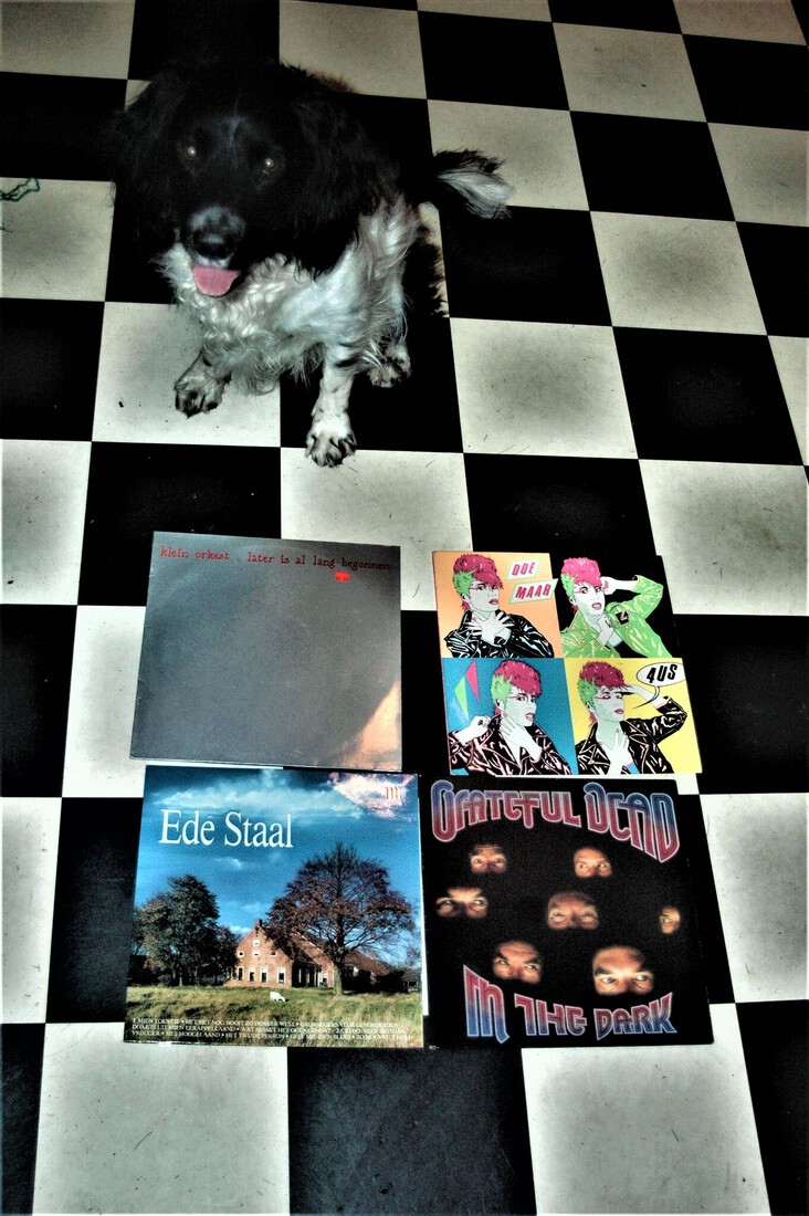 Cuddle the dog and his vinyl collection 39
