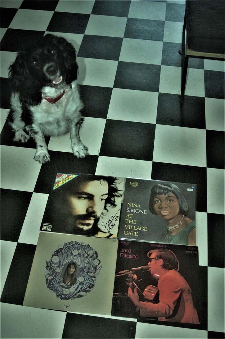 Cuddle the dog and his vinyl collection 41
