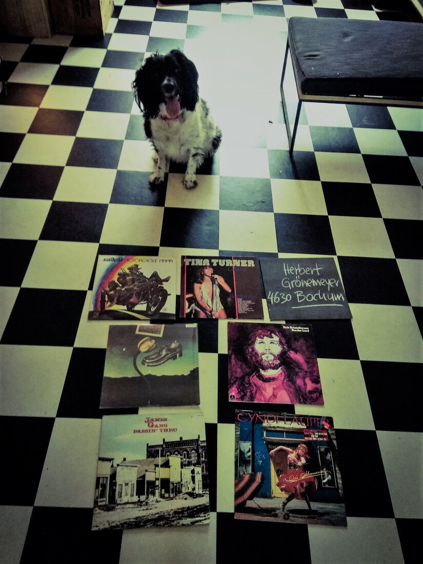 Cuddle the dog and his vinyl collection 42