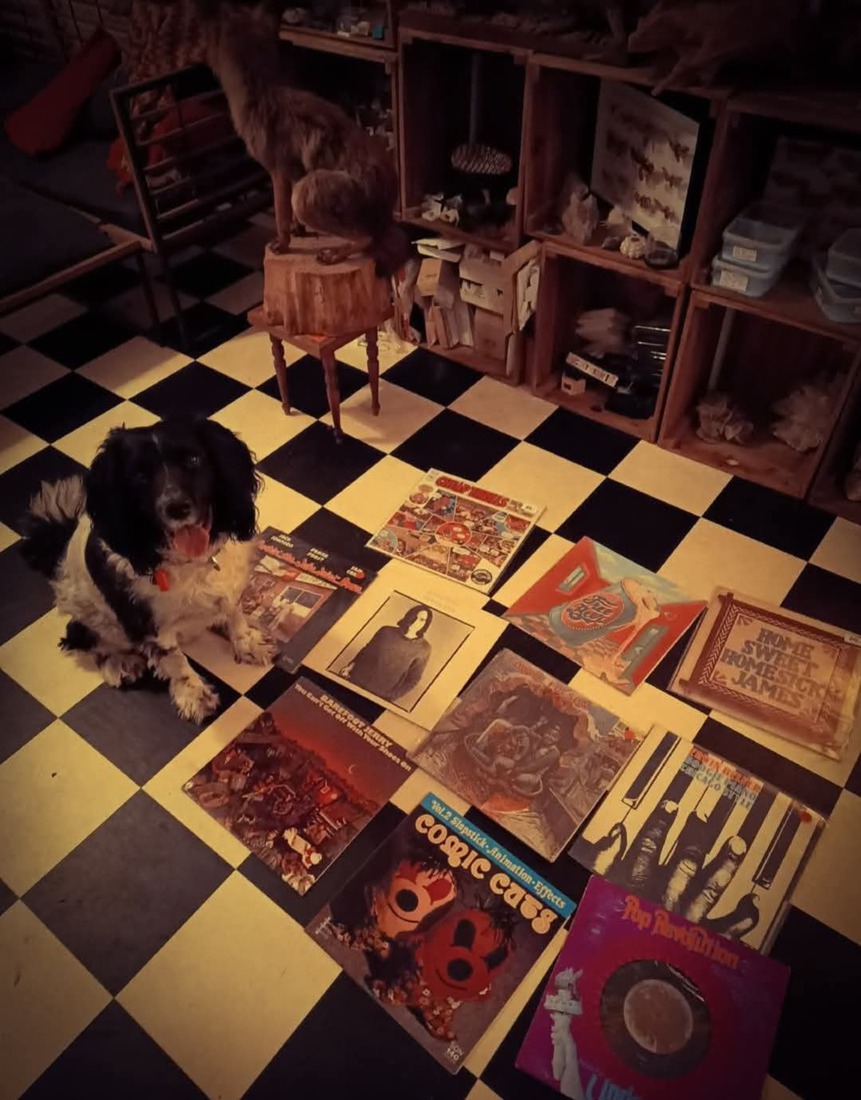 Cuddle the dog and his vinyl collection 49