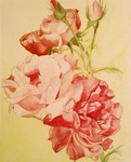 Werk wat ik teruggevonden heb. Gemaakt tussen 1999 en 2004. Van schets tot aquarel.