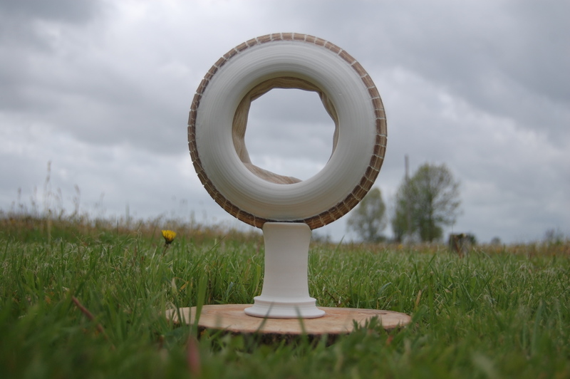 Een Rimpel in de Tijd