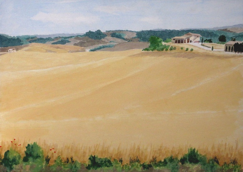 Graanvelden bij Volterra