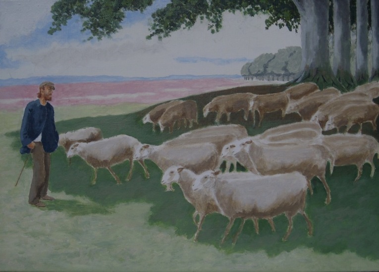 Bosrand met schapen
