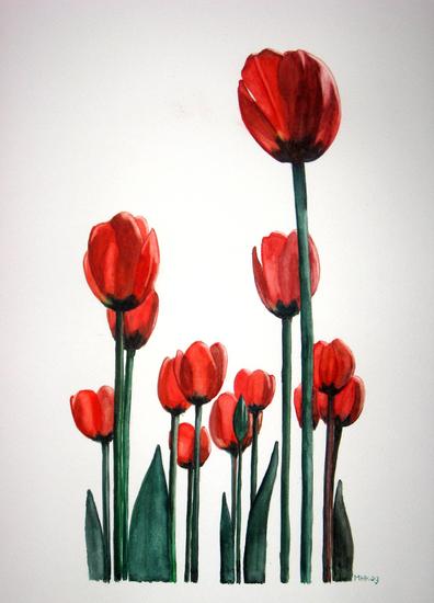 Tulpen