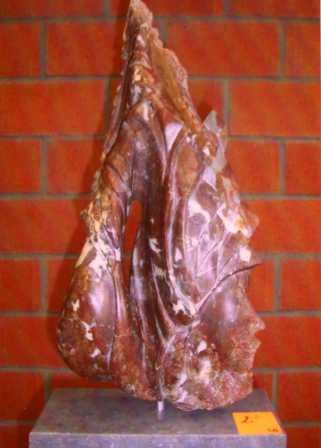 2 (3-D) Vanhoren Frank