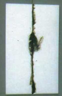 2 (2-D) Cherchye Hendrik