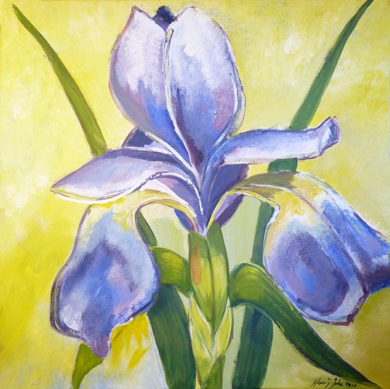 Blue Iris