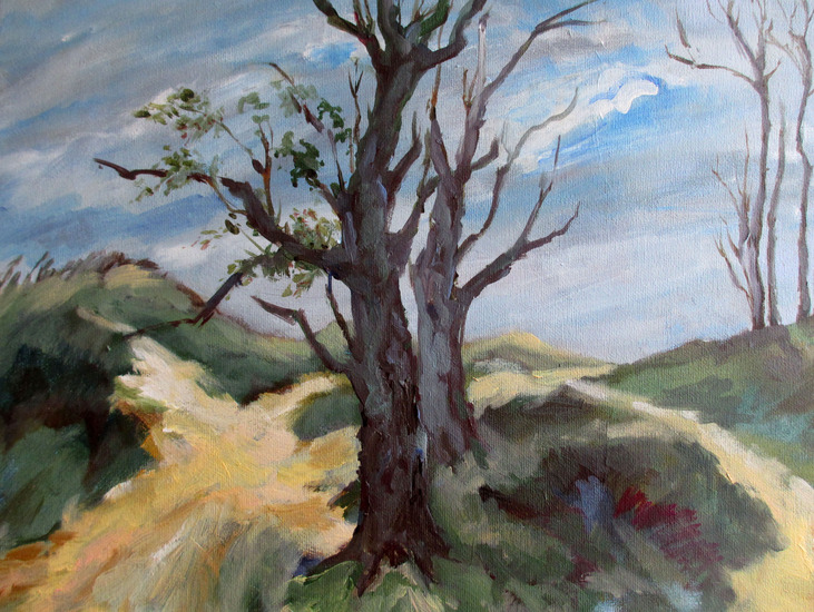 Schiermonnikoog, duinlandschap