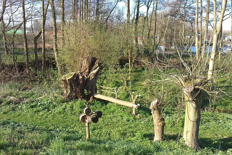 Zitbank en insekt hotel