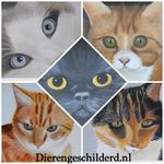 Geschilderde Honden en Katten