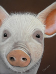 Diverse dieren geschilderd in olieverf of pastelkrijt