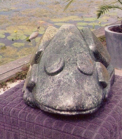 groene (breedbek)kikker