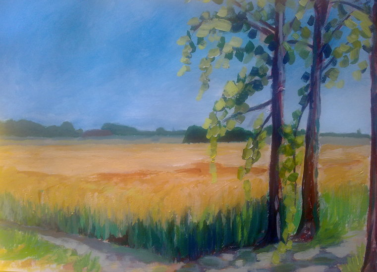 landerijen , vierhuizen groningen