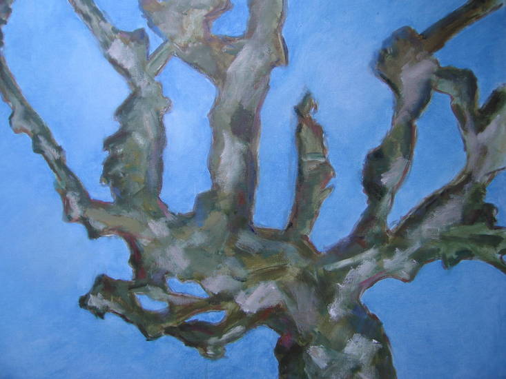 plataan (baskenland)