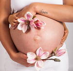Hier zie je een selectie foto's van verschillende zwangerschaps shoots