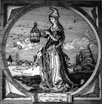 Levenslicht ode aan Cats