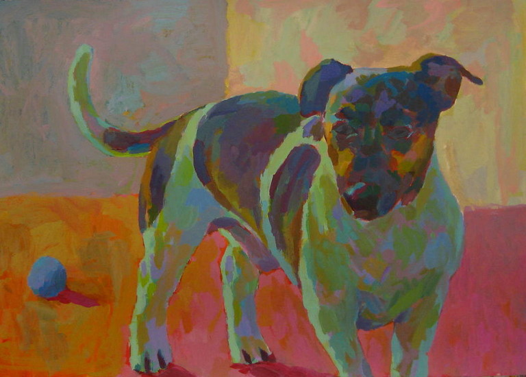 HOND 6