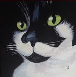 Bevriende paarden, honden en katten