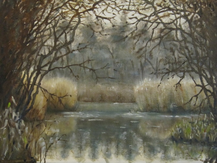 doorkijkje bij Ankeveense plassen