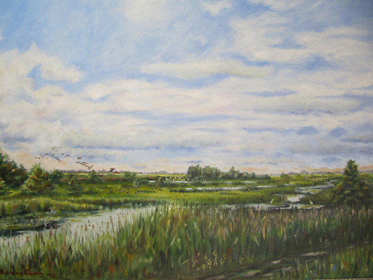 zomer in de trilvenen bij Tienhoven
