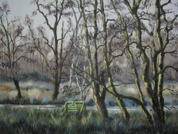 landschap Kortenhoefsedijk